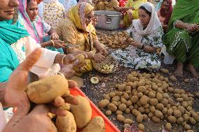 India -Region - Gurunanak Jayanti Celebration