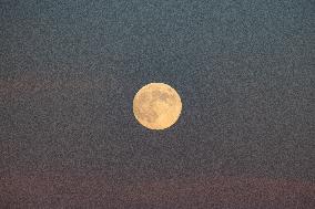 Beaver Full Moon Over Gran Sasso D’Italia