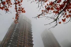 Heavy Fog Hit Jilin