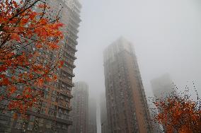 Heavy Fog Hit Jilin