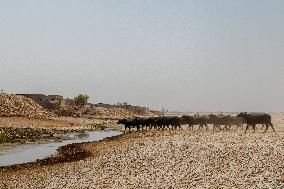 Climate Crisis In Khuzestan - Iran