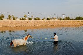 Climate Crisis In Khuzestan - Iran