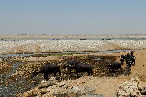 Climate Crisis In Khuzestan - Iran