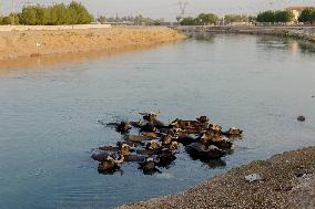 Climate Crisis In Khuzestan - Iran