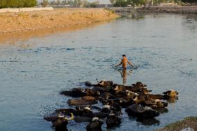 Climate Crisis In Khuzestan - Iran