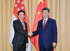 Xi Attends APEC Summit - Lima