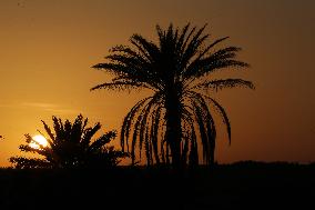 6th International Saharan Tourism Festival In El-Oued In Algeria