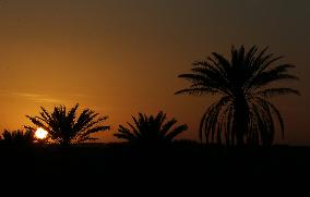 6th International Saharan Tourism Festival In El-Oued In Algeria