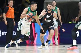 BASKET - Euroleague - Segafredo Virtus Bologna vs Panathinaikos Aktor Athens