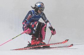 FIS World Cup Levi 2024