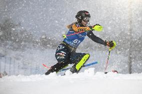 FIS World Cup Levi 2024