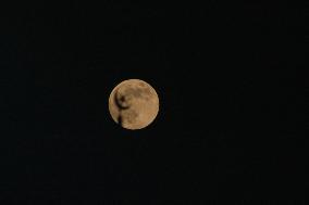 Beaver Moon In Kashmir