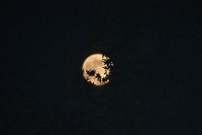 Beaver Moon In Kashmir