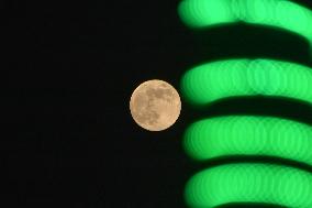 Beaver Moon In Kashmir