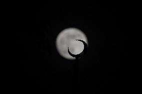 Beaver Moon In Kashmir