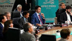 APEC Summit - Lima