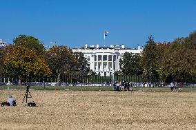 The White House In Washington, D.C.