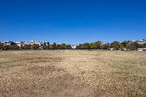 The White House In Washington, D.C.