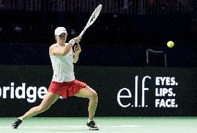 Poland vs Czechia - Billie Jean King Cup Finals