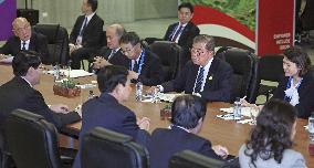 Japan-Vietnam summit in Lima