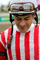 Thoroughbred Horse Racing At Woodbine Racetrack