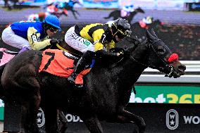 Thoroughbred Horse Racing At Woodbine Racetrack