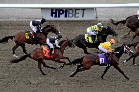 Thoroughbred Horse Racing At Woodbine Racetrack