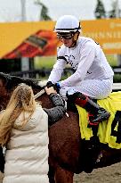 Thoroughbred Horse Racing At Woodbine Racetrack