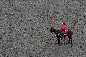 Thoroughbred Horse Racing At Woodbine Racetrack