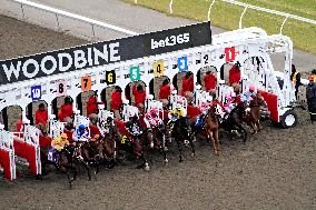 Thoroughbred Horse Racing At Woodbine Racetrack