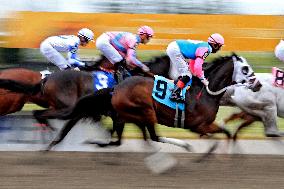 Thoroughbred Horse Racing At Woodbine Racetrack