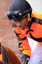 Thoroughbred Horse Racing At Woodbine Racetrack