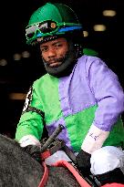 Thoroughbred Horse Racing At Woodbine Racetrack