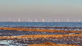 Yellow Sea Wind Power Generation