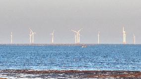 Yellow Sea Wind Power Generation