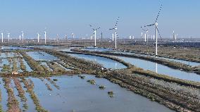 Yellow Sea Wind Power Generation