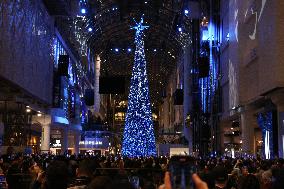 Christmas Tree - Toronto, Canada