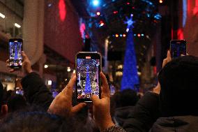 Christmas Tree - Toronto, Canada