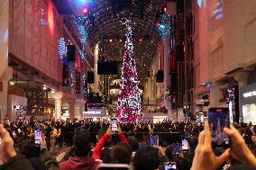 Christmas Tree - Toronto, Canada