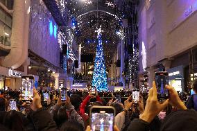 Christmas Tree - Toronto, Canada