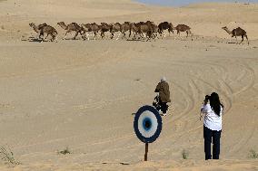 International Saharan Tourism Festival Oued Souf In Algeria