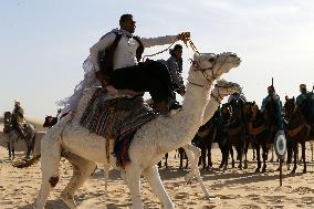 International Saharan Tourism Festival Oued Souf In Algeria