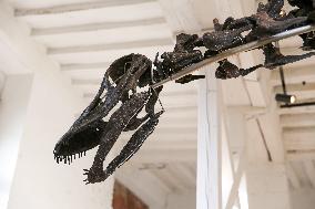 A Dinosaur Skeleton Reaches A Record Price In France