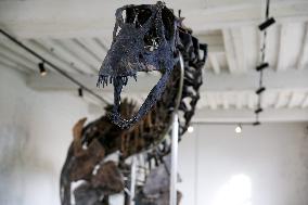 A Dinosaur Skeleton Reaches A Record Price In France