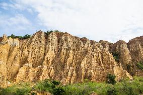 Langbapu Earth Forest