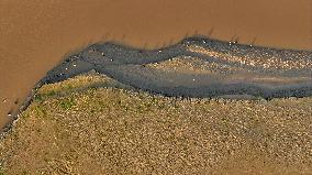 Migratory Birds At A Section Of The Yellow River - China