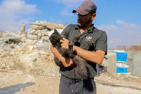 Palestinian House Demolished After Israeli Airstrikes - Hebron