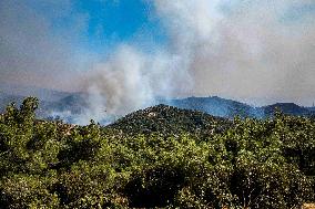 Raging Wildfire Prompts Evacuations - İzmir