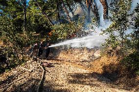 Raging Wildfire Prompts Evacuations - İzmir