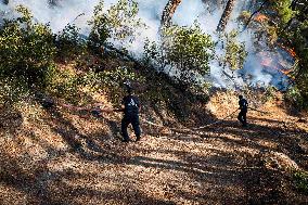 Raging Wildfire Prompts Evacuations - İzmir